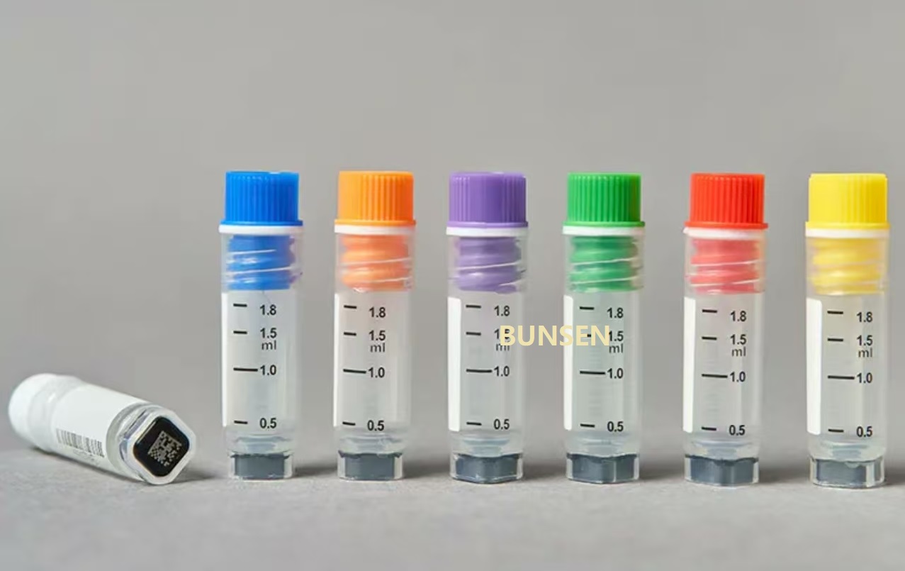 BUNSEN BUNSEN: How should the cells cryovial thawing?
