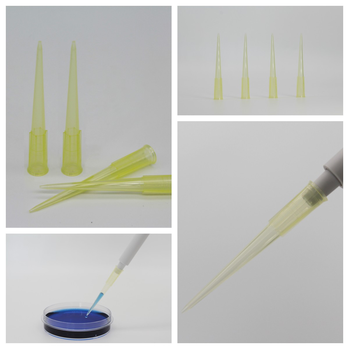 Differences in Applications and a Selection Guide for 200 μl Pouch and Box Packages pipette tip