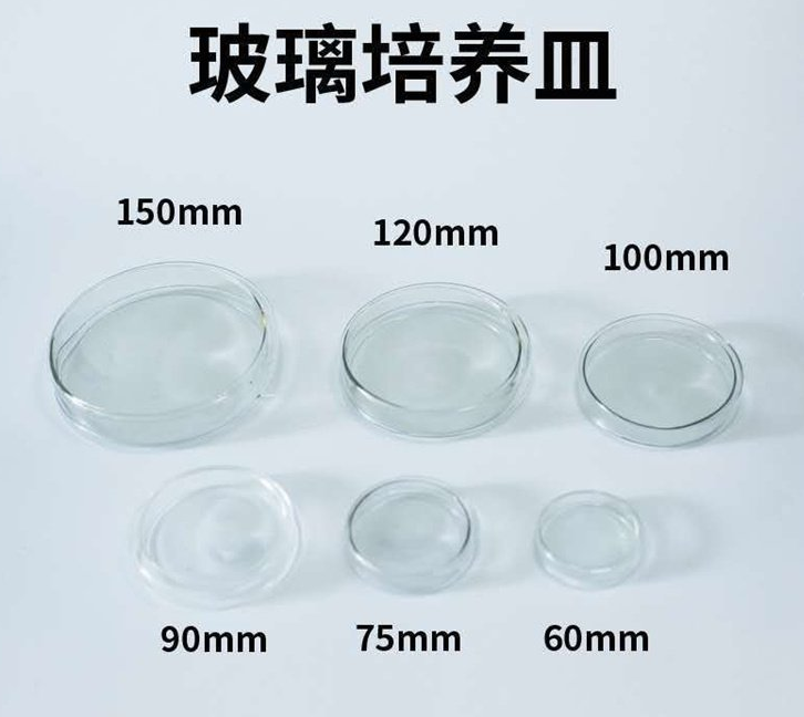 Disposable culture dish – how do you choose? Material, specifications, sterilized method?